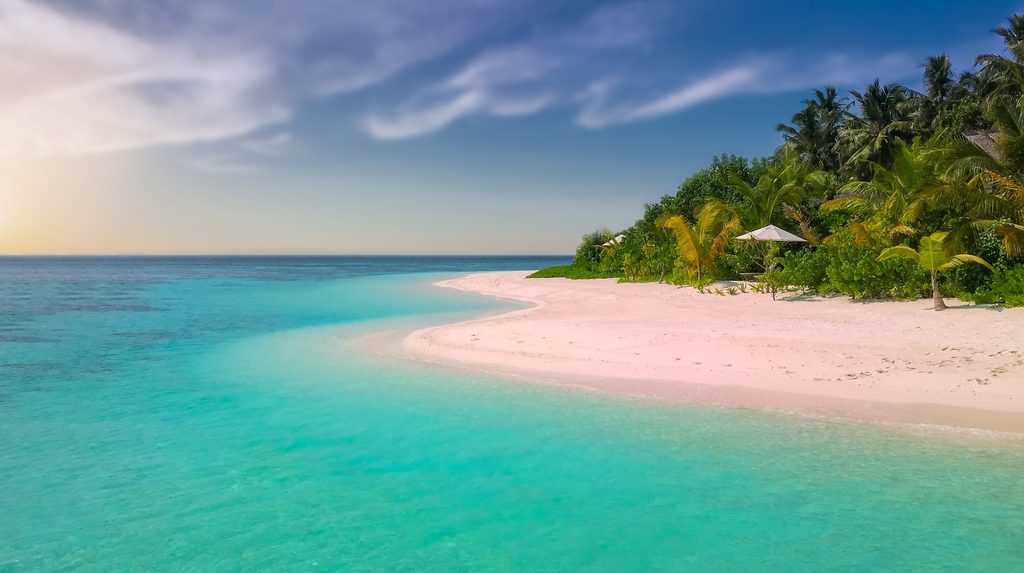 sea green beach with coconut trees